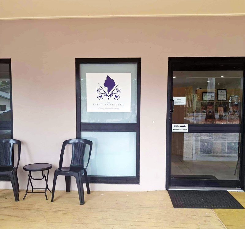 Welcome to the kitty concierge